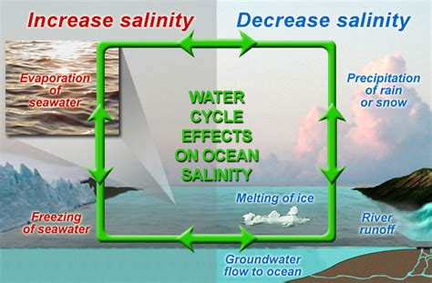 NASA Aquarius Mission - Why Study Salinity