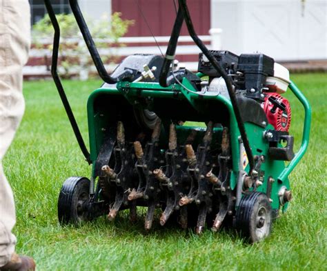 Core vs Liquid Aeration | Cowboy Lawn and Sprinkler