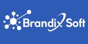 Brandix Soft Reviews and Clients | DesignRush