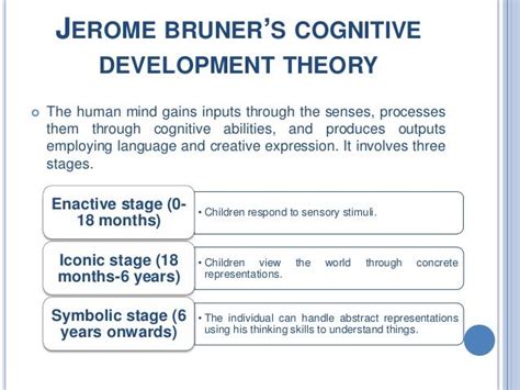 Jerome Bruner Learning Theory Images