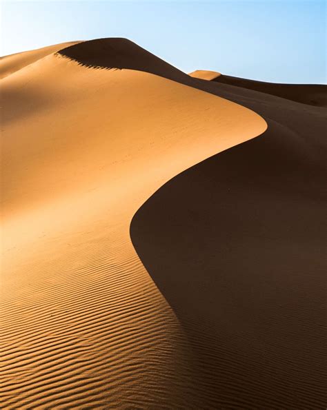 √ Temperature In The Sahara Desert