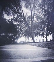 7 Pinhole camera examples ideas | pinhole camera, pinhole photography ...