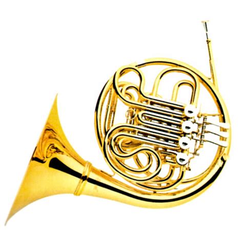 Double French Horn Archives - Global Musical Instrument