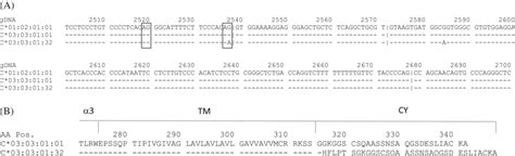 A, Partial nucleotide sequence alignment of C*01:02:01:01 ...