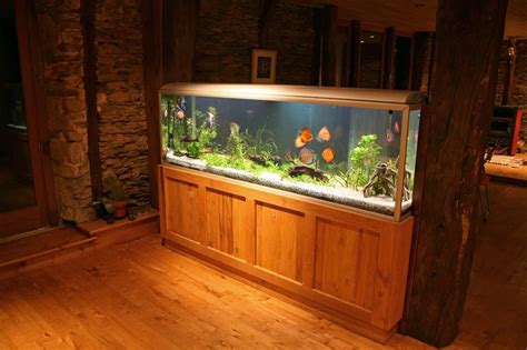 What Are the Dimensions of a 75 Gallon Aquarium? - Fishn Addiction