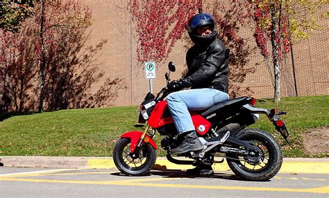 Honda Grom: World’s smallest hooligan bike | Canada Moto Guide