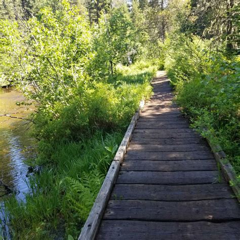 Run the Timothy Lake Trail + a Cool Timberline Marathon Finish | by ...