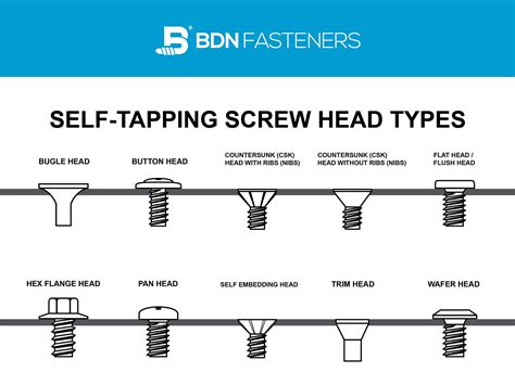 10 Screw Head Types: Different Self-Tapping Screw Head Types