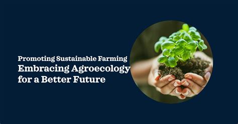 Understanding Agroecology: Principles and Practices - AgriTech Blogs