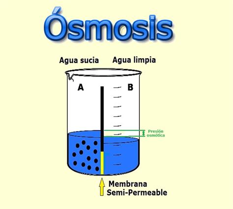 Calidad Del Agua And Ósmosis Inversa Jrpm