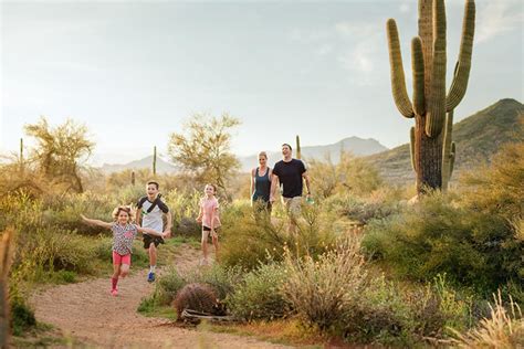 Sonoran Desert - campestre.al.gov.br