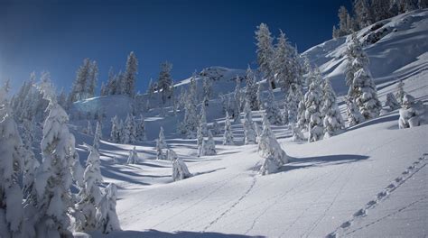 Alpine Meadows Ski Resort Tours - Book Now | Expedia