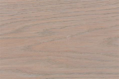 Bright Wood Texture for Your Background. Stock Image - Image of ...