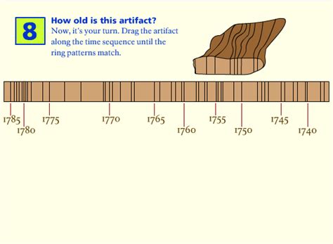 Dendrochronology - Play Online on Flash Museum 🕹️
