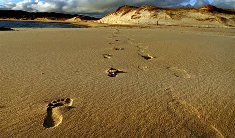 Footprints Sand Beach Royalty Free Photo