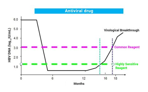 Why HBV DNA Quantitative Test Important？ - Daan Gene Co., Ltd.