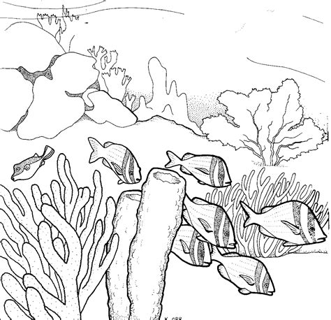 Drawing Underwater Coral Reef Sketch Coloring Page