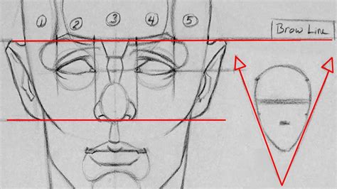 Drawing Proportions of the Head and Face | Getting the Fundamentals Down - YouTube