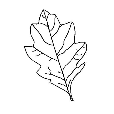 Oak Leaf Stencil Printable - ClipArt Best