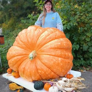 Giant Pumpkin Seeds 2023!!! Incredible Color and Shape! Howard Dill ...