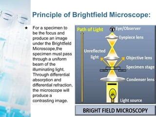 Bright Field Microscopy.pptx