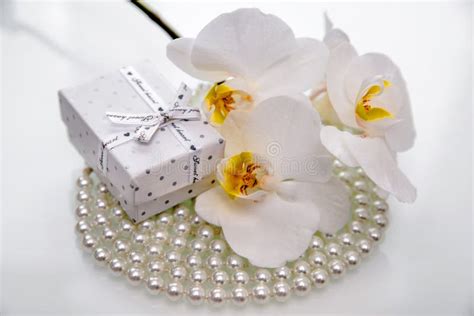 Gift box and white orchid stock photo. Image of flora - 143969976