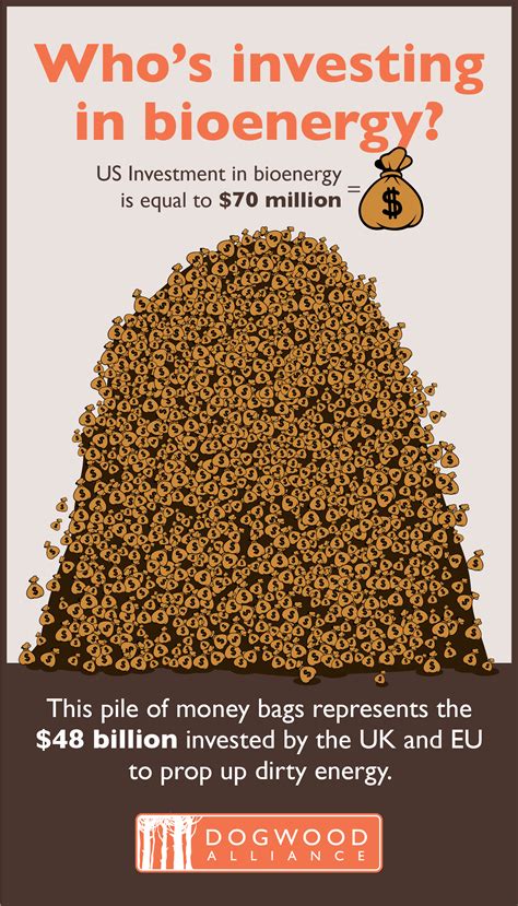 The Economy of Bioenergy Production | Dogwood AllianceDogwood Alliance