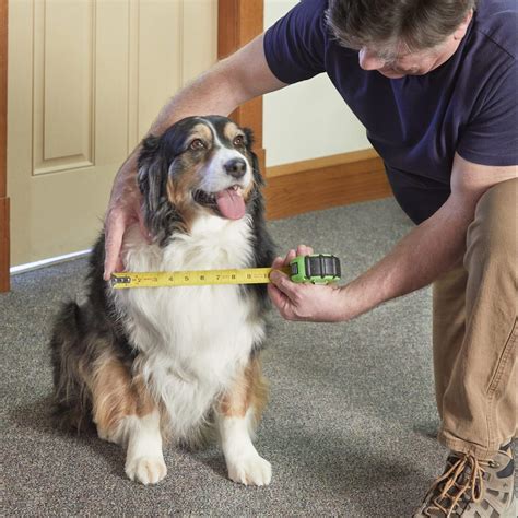 How to Install a Dog Door (DIY) | Family Handyman