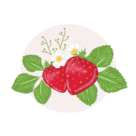 handdrawn strawberry with leaves and flower 4795892 Vector Art at Vecteezy