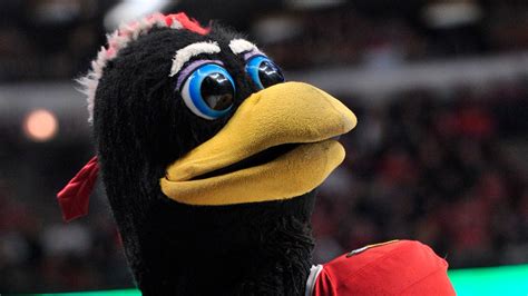 Blackhawks mascot Tommy Hawk fights fan in viral video