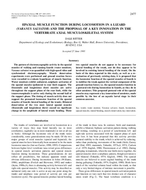 (PDF) Epaxial muscle function during locomotion in a lizard (Varanus ...