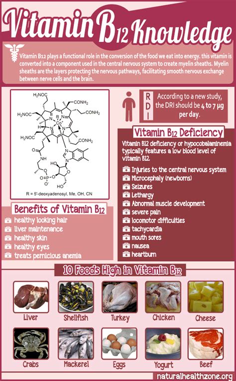 What is a pathogen its types diseases spread and safety measures – Artofit