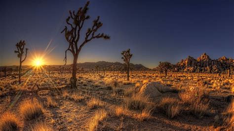 Sonoran Desert Wallpapers - Top Free Sonoran Desert Backgrounds ...