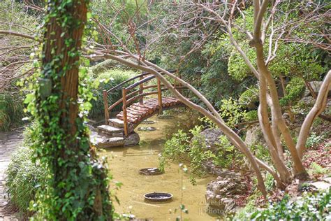 Zilker Botanical Garden in Austin, Texas | Nutty Hiker Adventures