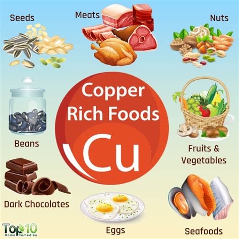 Foods High in Copper, Signs of Deficiency & Health Benefits | Top 10 ...