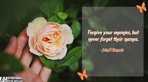 Forgive and Forget Quotes | Insbright