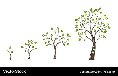 Green tree growth eco concept tree life cycle Vector Image