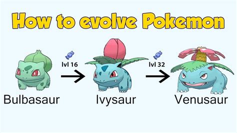 Pokemon Evolution Bulbasaur