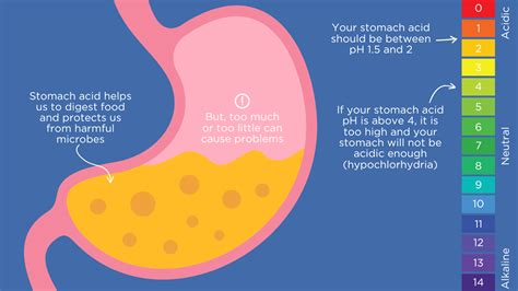 Low Stomach Acid: Causes, Symptoms & Treatment - OMED Health