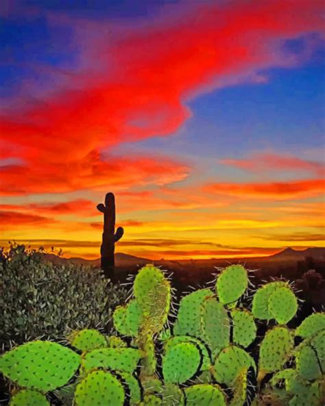 Cactus Desert Sunset Painting | Art Of Paint By Numbers