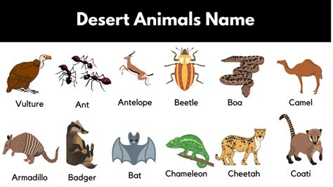 Desert Animals List With Pictures & Facts - GrammarVocab