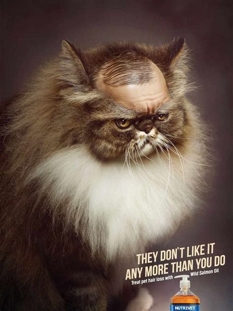 25 Cute And Funny Animal Print Ads