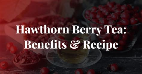 Hawthorn Tea Benefits + Recipe: A Guide to Hawthorn Berries in Tea ...