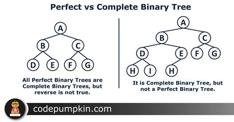 Types of Binary Tree | Binary Tree Introduction | Code Pumpkin