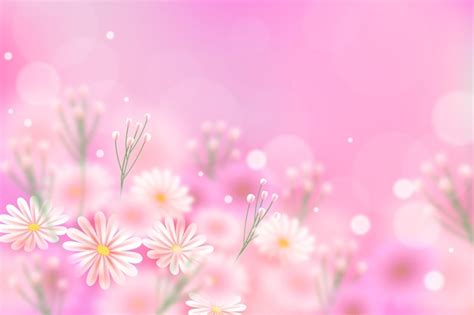 Pink Color Flower Background Image | Best Flower Site