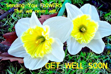 "Get Well Soon - Flowers" by teresam | Redbubble