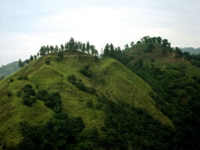 Mountain Peak: Climbing Blue Mountain Peak Jamaica