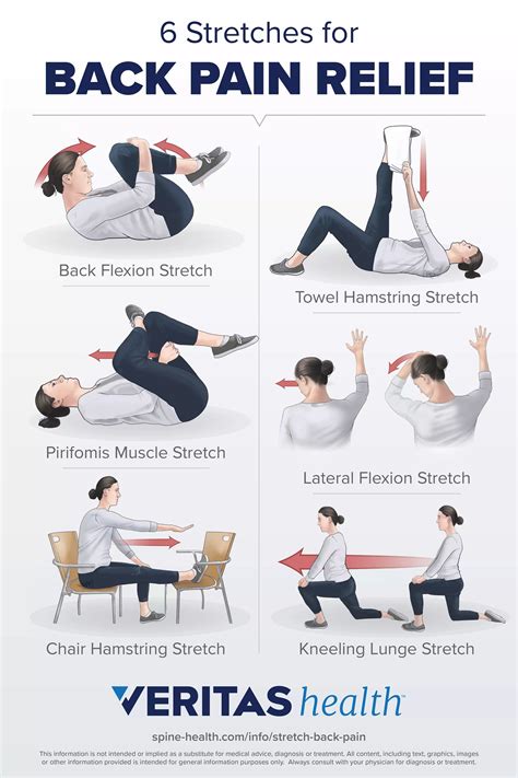 Stretching Exercises For Back Pain Relief – Online degrees