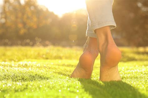 Young Woman Walking Barefoot on Fresh Green Grass, Closeup Stock Image ...