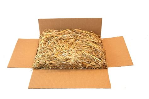 Best Straw For Feral Cat Bedding – Your Home Life